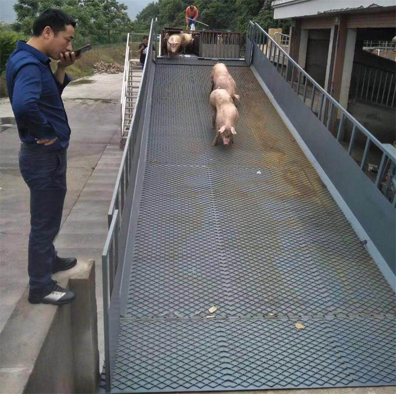 卸豬臺液壓升降機 卸豬臺液壓升降機